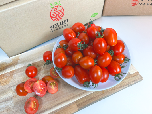 일품자연 대추방울토마토 체험단 모집