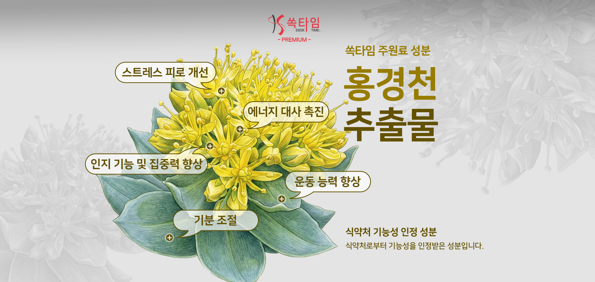 [라파웰] '쏙타임' 다이어트 보조 식품 기자단