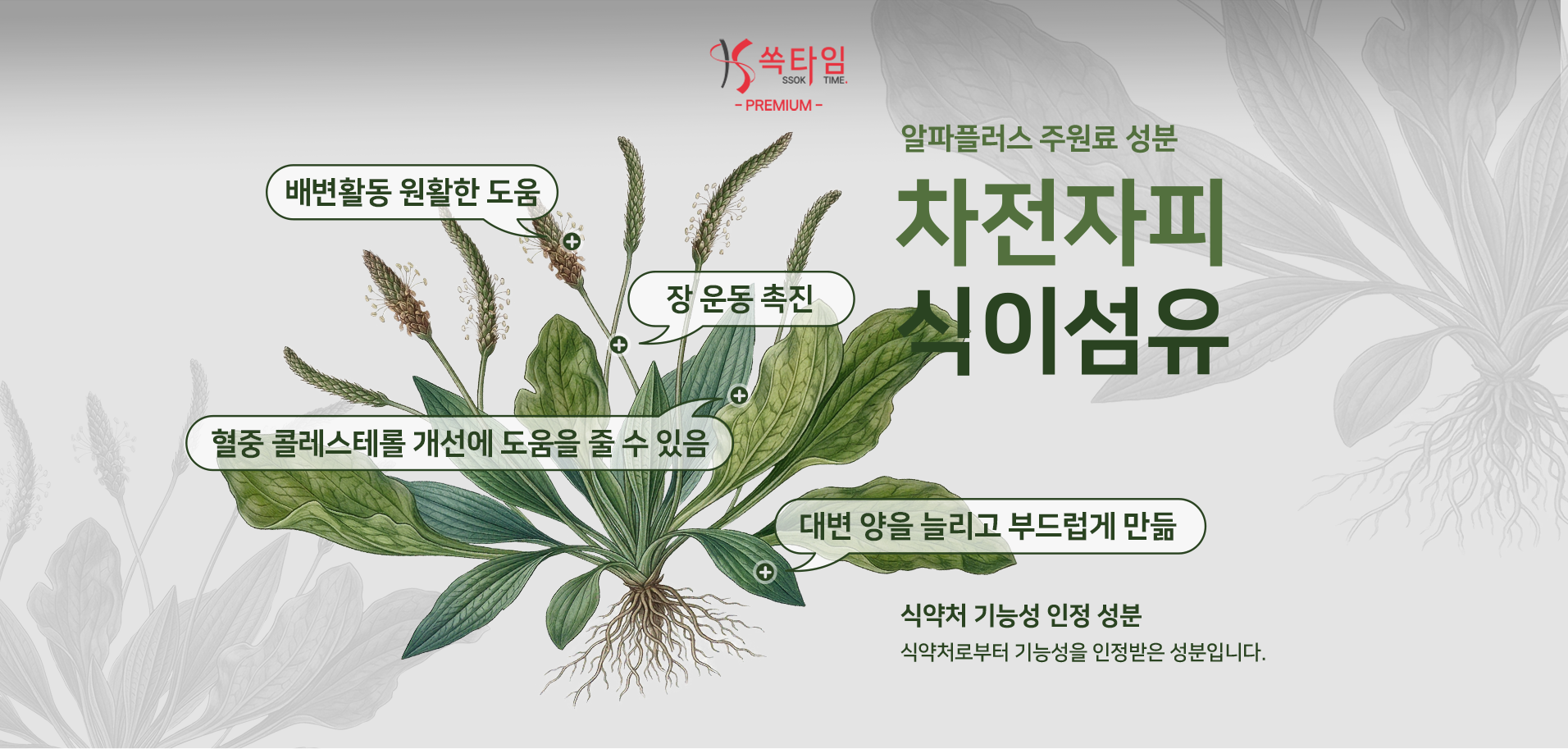 [라파웰] '쏙타임' 다이어트 보조 식품 기자단
